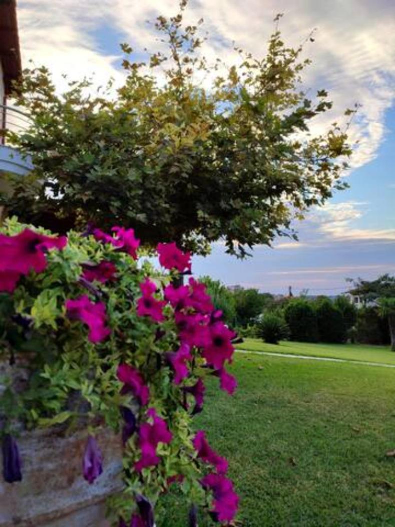 Wonderful Villa With Great View In Posidi-Kalandra Buitenkant foto